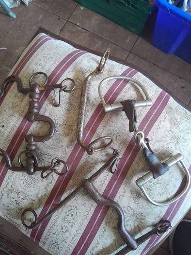 old horse Bits