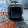 Trixie Cat Transport Box Image 3