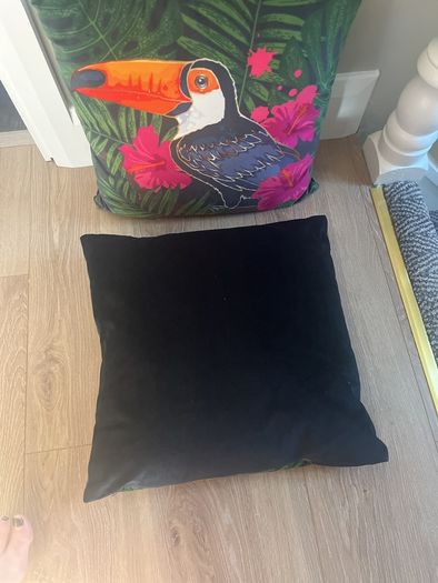 Toucan cushions ( pair)