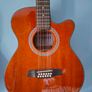 12 string Guitar Image 6