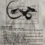 Cooling System  Vacuum Test & Refill Tool Image 6