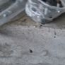 2007-2011 focus new front shocks wheel bearings drop links Image 4