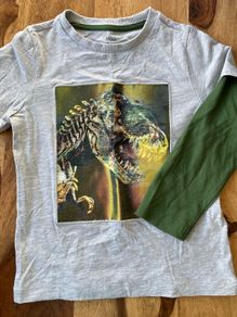 Dinosaur Top - M&S (3-4yrs)