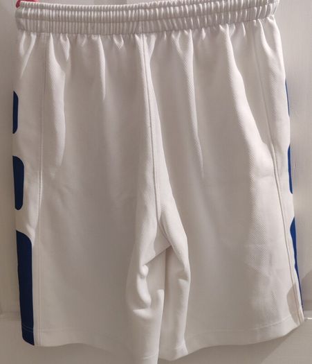 Vintage Nike Jordan 23 Basketball Shorts