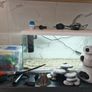 58L Fishtank with Everything Image 4