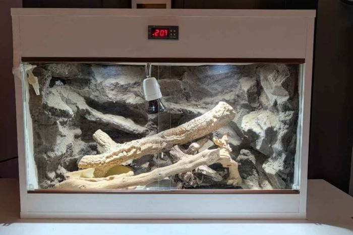 Reptile Vivarium/Tank
