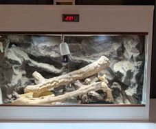 Reptile Vivarium/Tank