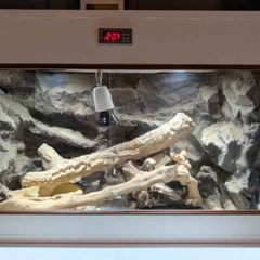 Reptile Vivarium/Tank