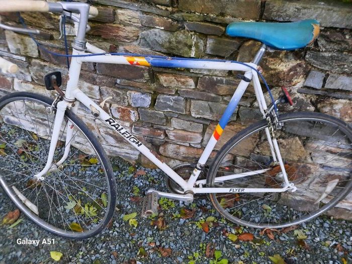 Raleigh flyer