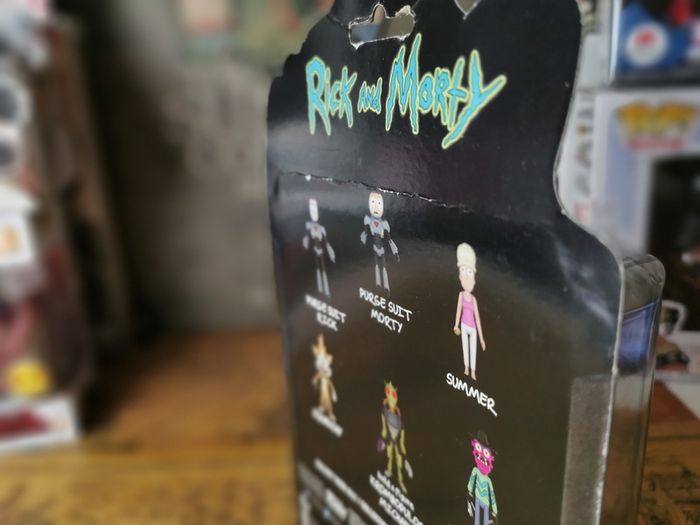 Rick and Morty ! Summer Collectible Action Figure ! by Funko ! 2018 !