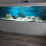 Large fish tank for sale Image 3