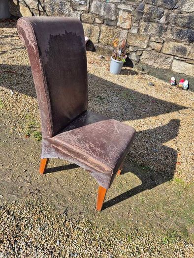 Dining Chairs