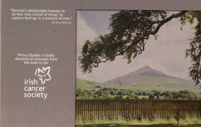 Out Of Your Tree - The Private Pursuits , Passions & Inspirations Of Notable Personalities - Photographed By Dominic Lee & Signed By Him
