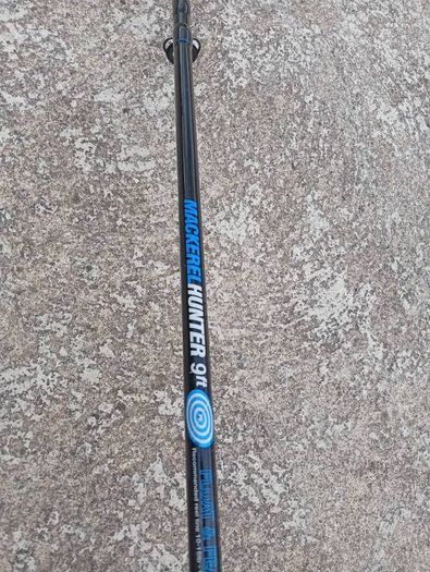 Fishing rod with reel