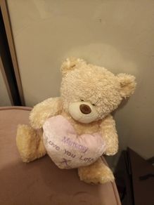 Mothers Day mummy love you lots Teddy