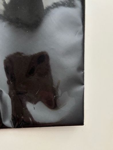Black apple screen polish cloth