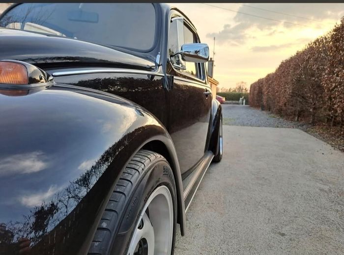 vw beetle