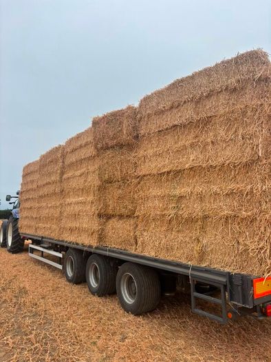 Pea Straw