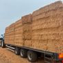 Pea Straw Image 5