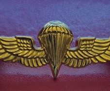 usmc / us navy parachute wings.