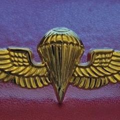 usmc / us navy parachute wings.