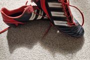 Predator Adipower SG