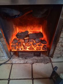 Electric fire