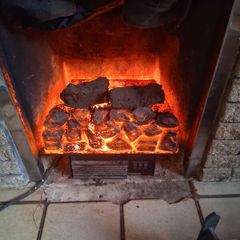 Electric fire