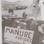 Humorous Irish Postcards Image 8