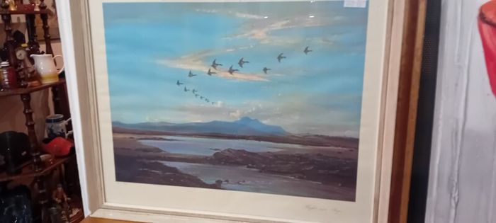 Vintage Vernon Ward Framed Print
