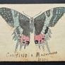 Antique botanical & butterfly postcards set Image 5