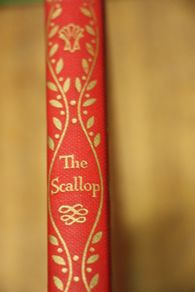 The Scallop.