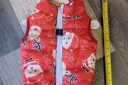 Santa dog Christmas jacket