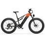 Lankeleisi RV800 Plus Fat Bike E-Mountain Bike Image 4