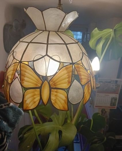Mother of Pearl butterfly Light