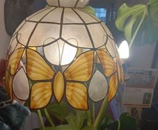 Mother of Pearl butterfly Light