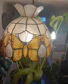 Mother of Pearl butterfly Light