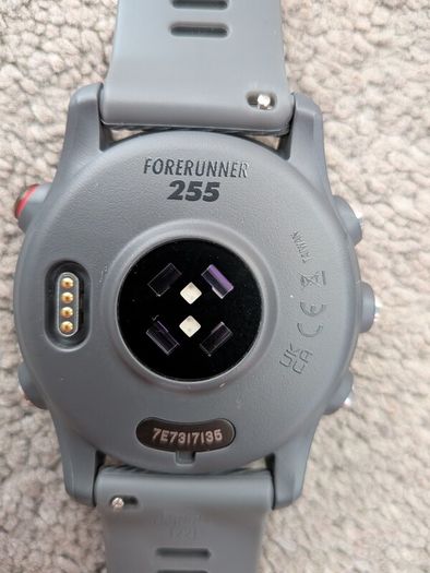 Garmin Forerunner 255: Slate Gray