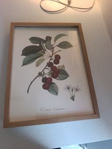 Botanical fruit prints with accompanying frames (can be sold separately or as part of a set)
