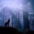 john.lonewolf.71