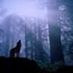 john.lonewolf.71