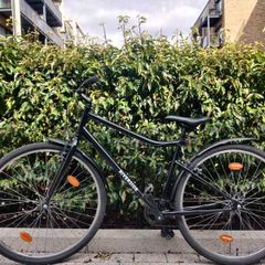 Bicycle for Sale