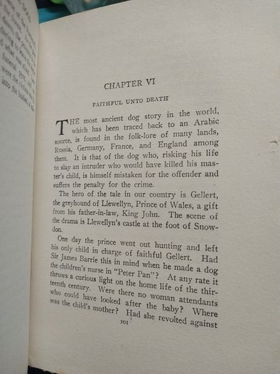 The Book of Noble Dogs - Estelle Ross