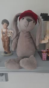 Toy