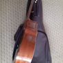 12 string laud Image 3