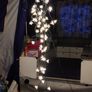 tent Image 3