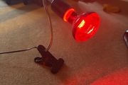 Heat lamp
