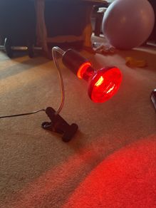 Heat lamp