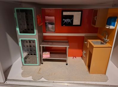 Generation Doll Vet Centre