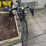 Bike Image 3